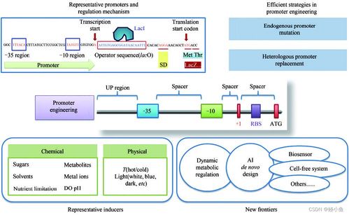 傳統(tǒng)行業(yè)與人工智能融合 材料、化學、物理、生物的發(fā)展與未來展望