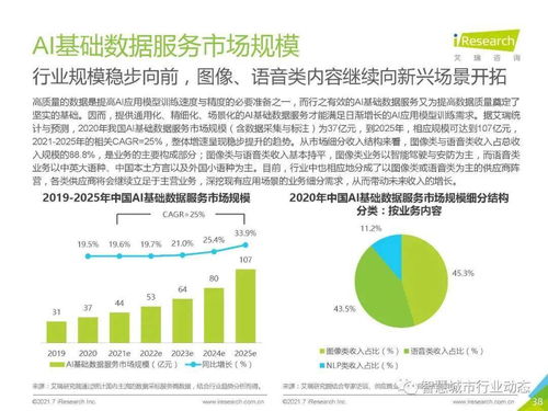 中國(guó)人工智能基礎(chǔ)軟件開發(fā)行業(yè)報(bào)告 2021 夯實(shí)智能底座，賦能產(chǎn)業(yè)變革
